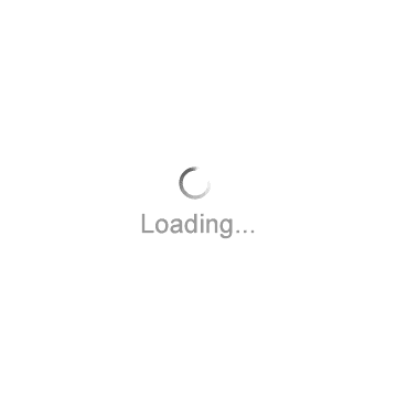 loading.gif
