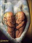 gemini.jpg