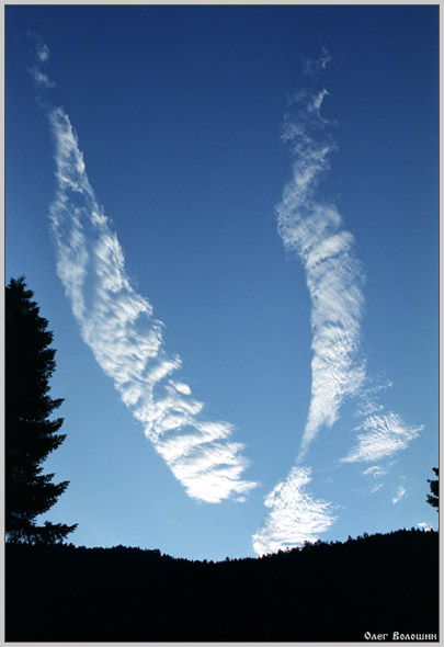 Чайка по имени Джонатан Ливингстон.jpg