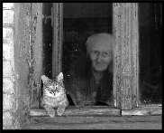 День Победы.jpg