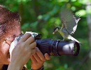 Сейчас вылетит птичка.jpg